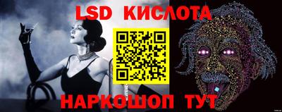 шишки Владивосток